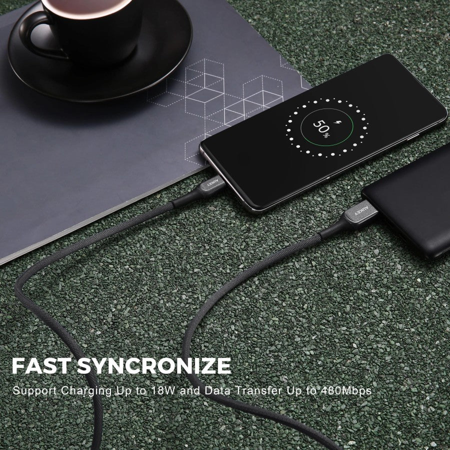 Kabel Pengisi Daya AUKEY USB-A ke USB-C CB-AKC1 Inti Kevlar 1,2M